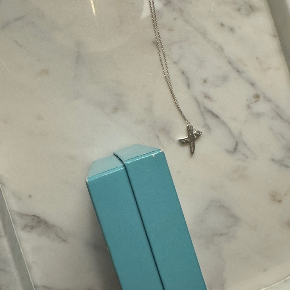 HP! 🎉💕 Tiffany & Co. Paloma’s Graffiti X Pendant, Sterling Silver - Picture 9 of 10